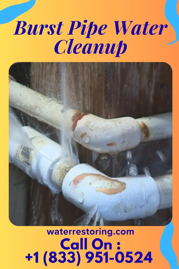Burst Pipe Water Cleanup in Double Oak, TX