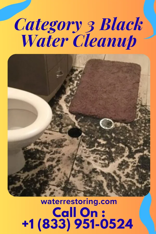 Category 3 Black Water Cleanup in Double Oak, TX