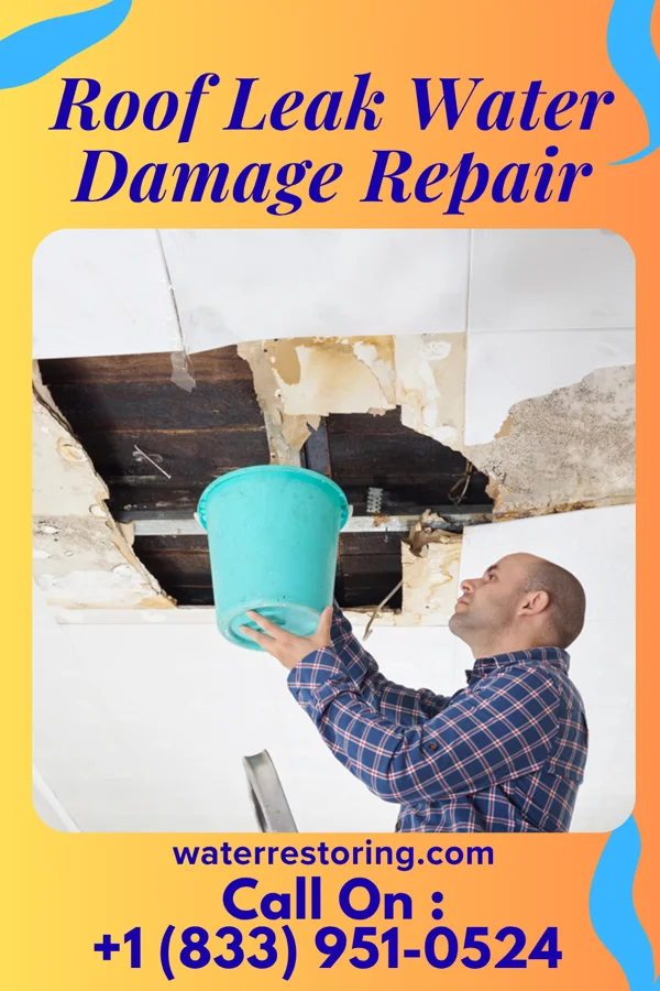 Roof Leak Water Damage Repair in Double Oak, TX
