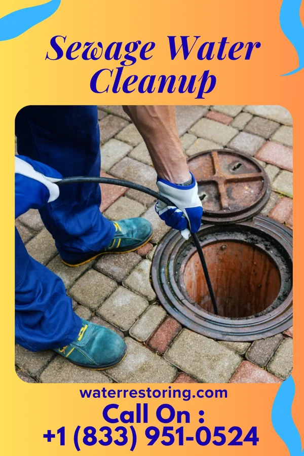 Sewage Water Cleanup in Double Oak, TX